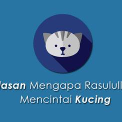 Mengapa rasulullah mencintai kucing