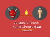 Anggota tubuh yang bisa dimasuki jin Anggota tubuh yang bisa dimasuki jin