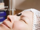 Hukum terapi lintah Hukum terapi lintah