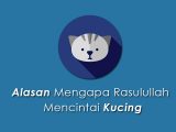 Mengapa rasulullah mencintai kucing Mengapa rasulullah mencintai kucing